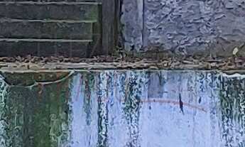 Imagem 4: 277M² de Área Total