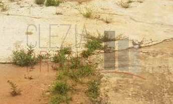 Imagem: 1 banheiros, 10 vagas na garagem, 10100M²