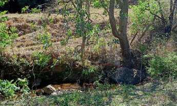 Imagem 6: 77000M² de Área Construída, 77000M² de Área Total