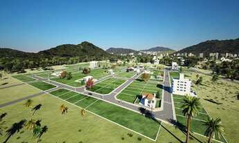 Imagem 5: Terreno BR 101 - Balneário Camboriú - Várzea do Ranchinho - Galpões - Empresas - Loteament