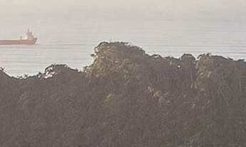 Imagem: SAILORS BAY - APARTAMENTO GARDEN FRENTE