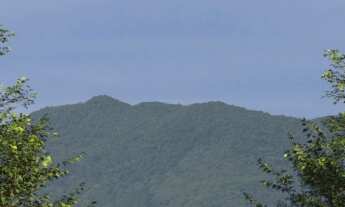 Imagem 6: PORTO BELO GOLF ALL RESORT - LOTE DE 400 M² À VENDA EM PORTO BELO