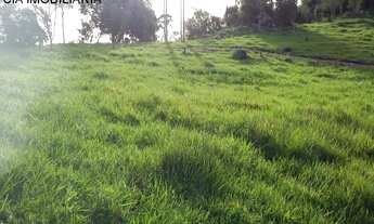 Imagem 7: Terrenos á Venda 800m² na Praia da Gamboa - Santa Catarina