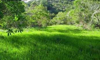 Imagem 4: ÁREA RURAL RESIDENCIAL em GAROPABA - SC, Ressacada