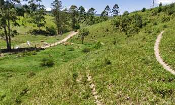 Imagem 7: AREA RESIDENCIAL em IMARUÍ - SC, imaruí