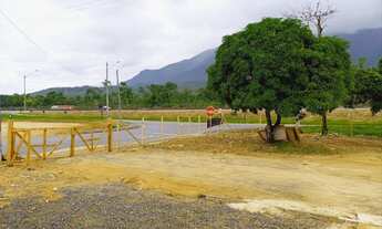 Imagem 5: Na Avenida Robert Kennedy