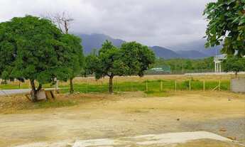 Imagem 6: Na Avenida Robert Kennedy