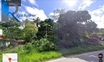 Imagem 4: Terreno na Linha Verde, 6.771 m², 5km da praia, Sítio com Árvores Frutíferas