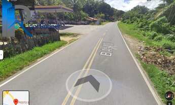 Imagem 5: Terreno na Linha Verde, 6.771 m², 5km da praia, Sítio com Árvores Frutíferas