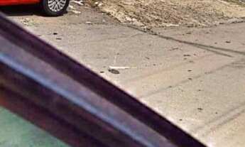 Imagem 3: Galpão no Luis Anselmo para Venda