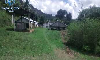 Imagem 6: GRANDE OPORTUNIDADE DE ADQUIRIR EXCELENTE FAZENDA COM PREÇO IMPERDÍVEL NA REGIÃO SUL DA BA