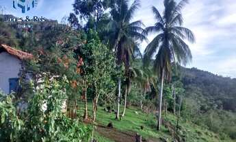 Imagem 5: GRANDE OPORTUNIDADE DE ADQUIRIR EXCELENTE FAZENDA COM PREÇO IMPERDÍVEL NA REGIÃO SUL DA BA