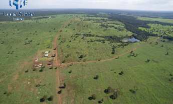 Imagem: FAZENDA RURAL em Tocantins - TO, Sudoeste