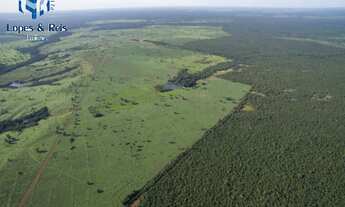 Imagem 2: FAZENDA RURAL em Tocantins - TO, Sudoeste de Tocantins
