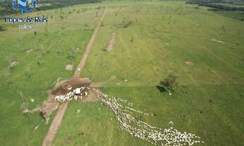 Imagem 6: FAZENDA RURAL em Tocantins - TO, Sudoeste de Tocantins