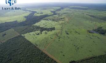 Imagem 7: FAZENDA RURAL em Tocantins - TO, Sudoeste de Tocantins