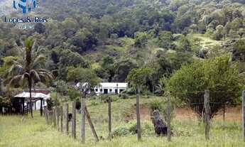 Imagem 4: ÁREA RURAL RURAL em Almadina - BA, Região do Ouro