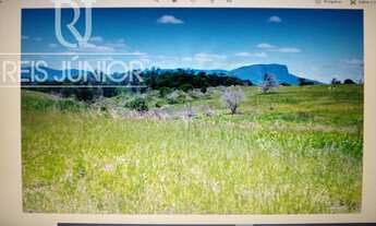 Imagem 6: A SUA OPORTUNIDADE PARA ADQUIRIR FAZENDAS DE PECUÁRIA NA REGIÃO DE ITAPETING