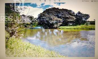 Imagem 2: A SUA OPORTUNIDADE PARA ADQUIRIR FAZENDAS DE PECUÁRIA NA REGIÃO DE ITAPETING