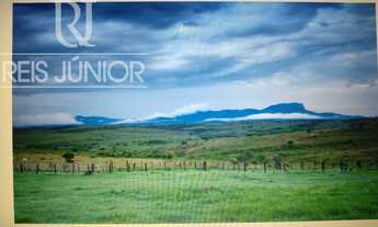 Imagem 4: A SUA OPORTUNIDADE PARA ADQUIRIR FAZENDAS DE PECUÁRIA NA REGIÃO DE ITAPETING