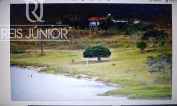 Imagem 3: A SUA OPORTUNIDADE PARA ADQUIRIR FAZENDAS DE PECUÁRIA NA REGIÃO DE ITAPETING