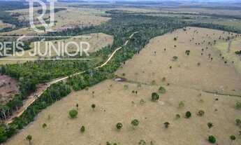 Imagem 4: Fazenda de 1.240 hectares à venda em Mascote-BA: sua oportunidade de investimento no campo