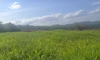 Imagem 4: Fazenda à venda em Ilhéus-BA com 242 hectares de área!