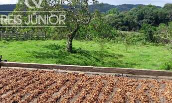 Imagem: Fazenda à venda em Ilhéus-BA com 242 hectares