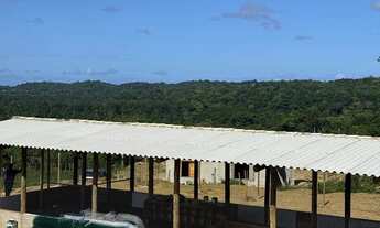 Imagem 3: Fazenda à venda em Ilhéus-BA com 242 hectares de área!