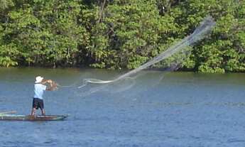 Imagem 4: UM PRIMOR DE FAZENDA PARA O SEU INVESTIMENTO!