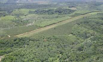 Imagem 2: UM PRIMOR DE FAZENDA PARA O SEU INVESTIMENTO!