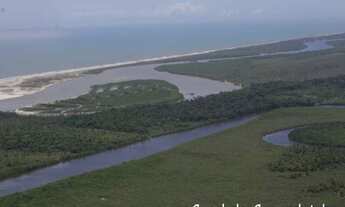 Imagem 3: UM PRIMOR DE FAZENDA PARA O SEU INVESTIMENTO!