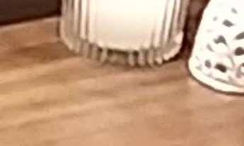 Imagem 7: Excelente Paulo Paulo na Pompéia com 143m2 úteis e ampla varanda gourmet, 3 sts, 3 gars