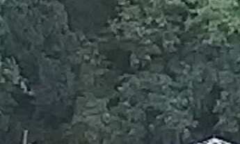 Imagem 3: ACQUA VILA ROMANA COM VARANDA GOURMET, 3 DORMS (1 ABERTO SALA),1 ST, 2 GARS+85,5 M2 + DEPÓ