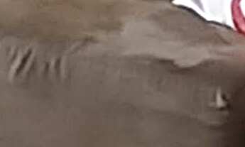 Imagem 3: PAULO MAURO EM PERDIZES COM 3 SUÍTES + ESCRIT., 3 GARS+DEPÓSITO, EXCELENTE PLANTA E LOCAL