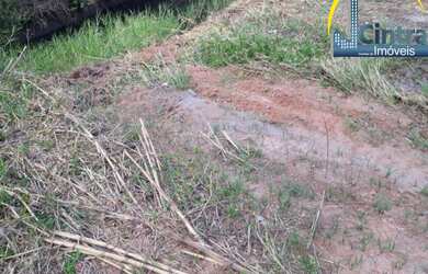 Imagem 4: ALUGO TERRENO PLANO EM JARDIM DAS MARGARIDAS, 5.000M², MURADO, R$ 10.000,00 MAIS TAXA DE I