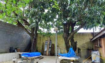 Imagem 4: AMPLA CHACARÁ À VENDA NA CIDADE DE NOVA ODESSA/SP - REF.: 6022