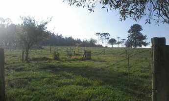 Imagem 5: área para loteamento ou sitio