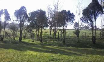 Imagem 3: área para loteamento ou sitio