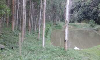 Imagem 3: SITIO RURAL em ITUPORANGA - SC, ESTRADA GERAL ALTO TRÊS BARRAS