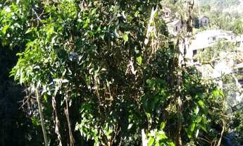 Imagem 6: CASA NO BAIRRO BOA VISTA - RUA ADOLFO TALLMANN EM BLUMENAU SC