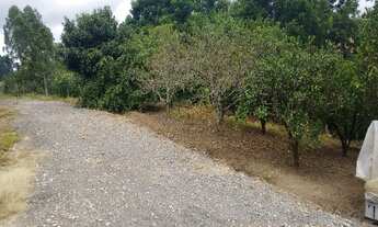 Imagem 3: SITIO CENTRO CIDADE IMBUIA S.C