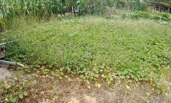 Imagem 6: SITIO CENTRO CIDADE IMBUIA S.C