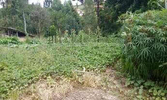 Imagem 7: SITIO CENTRO CIDADE IMBUIA S.C