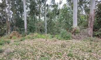 Imagem 2: SITIO RURAL em ituporanga - SC, Ilha Grande Becker