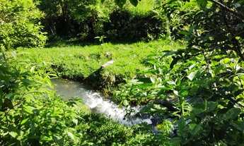 Imagem 5: CHÁCARA NA TIFA SAO LUIZ EM SALETE SC