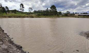 Imagem 5: LINDO SITIO COM 24.000 M² COM CASA, LAGOA, POMAR DE FRUTAS, LOCALIDADE DE MIRADOR RIO DO