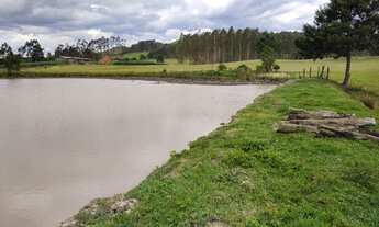 Imagem 6: LINDO SITIO COM 24.000 M² COM CASA, LAGOA, POMAR DE FRUTAS, LOCALIDADE DE MIRADOR RIO DO