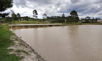 Imagem 7: LINDO SITIO COM 24.000 M² COM CASA, LAGOA, POMAR DE FRUTAS, LOCALIDADE DE MIRADOR RIO DO