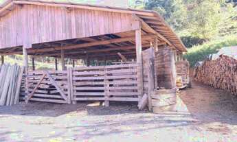 Imagem 4: SITIO 45 HECTARES - LOCALIDADE COLONIA FORMOSA - SANTA TEREZINHA - SC